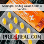 Kamagra 100Mg Gelée Orale À Vendre new05